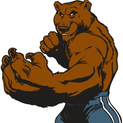 AR BEAR 31 RC Thumbnail