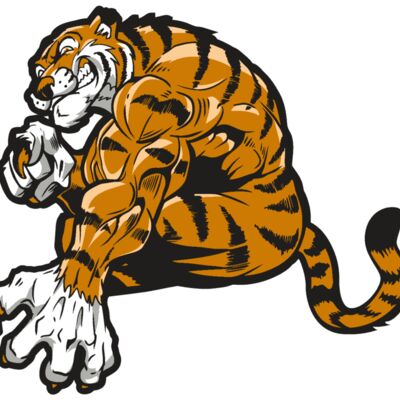 AR4 TIGER 09 RQC Thumbnail