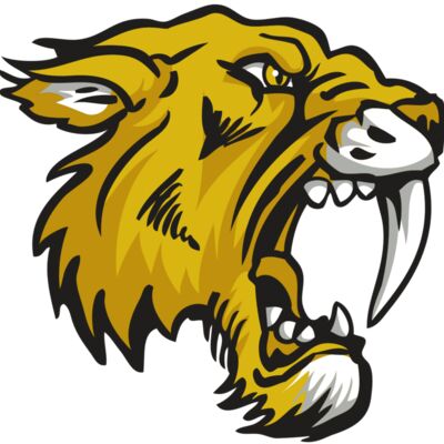 AR30 SABER 03 RQC Thumbnail