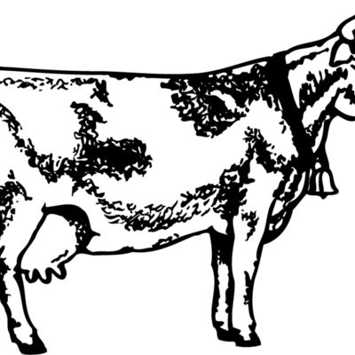 COW031 Thumbnail